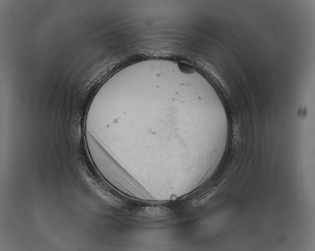 X0000088900541200707061457