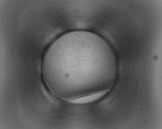 X0000088900542200707061457