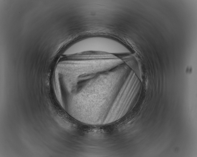 X0000088900543200707061457