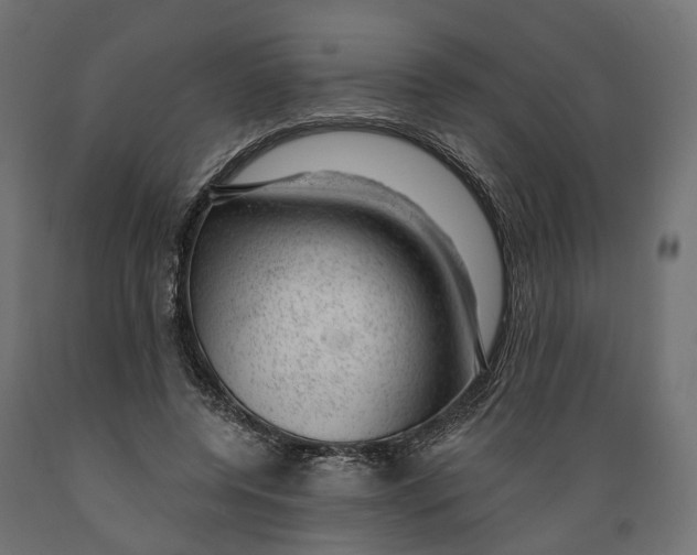 X0000088900544200707061457