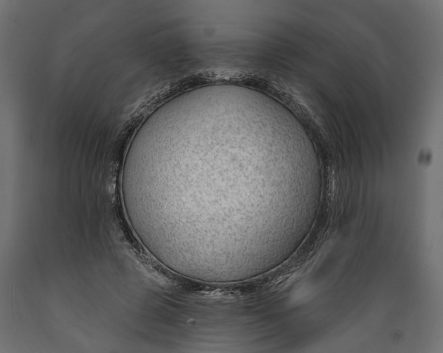 X0000088900545200707061457