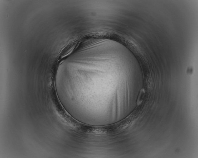 X0000088900546200707061457