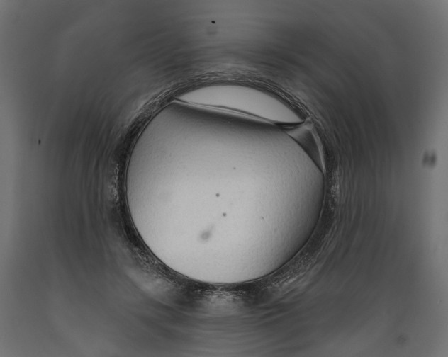 X0000088900547200707061457