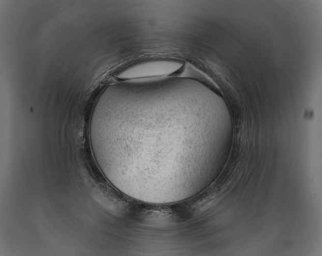 X0000088900548200707061457