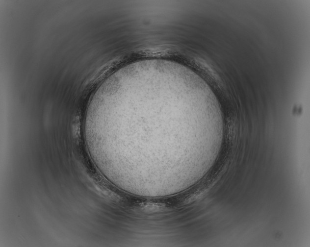 X0000088900549200707061457