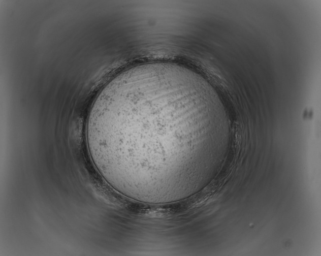 X0000088900550200707061457