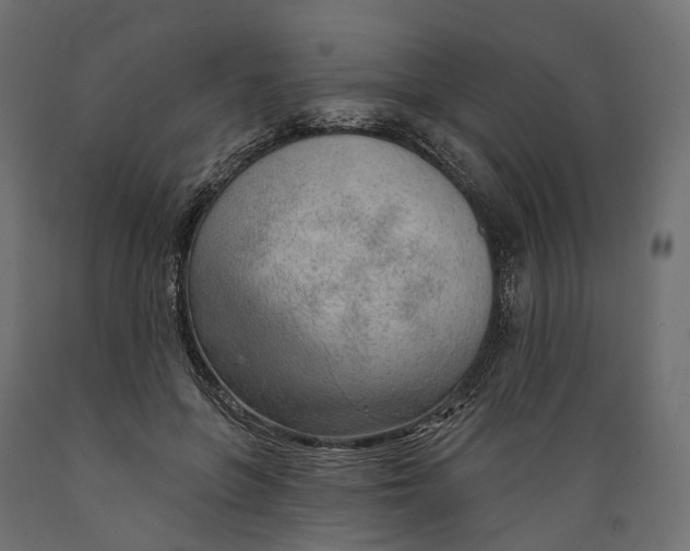 X0000088900551200707061457