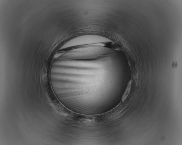 X0000088900552200707061457