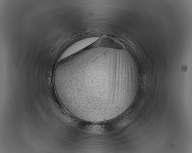 X0000088900553200707061457