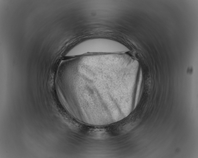 X0000088900554200707061457