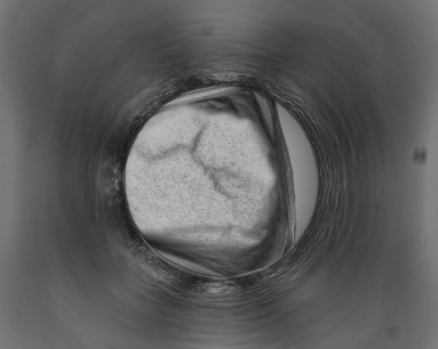 X0000088900555200707061457