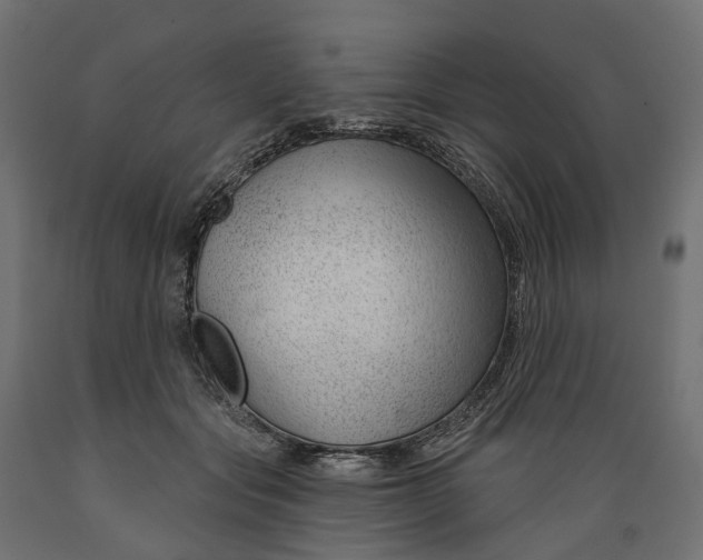 X0000088900557200707061457