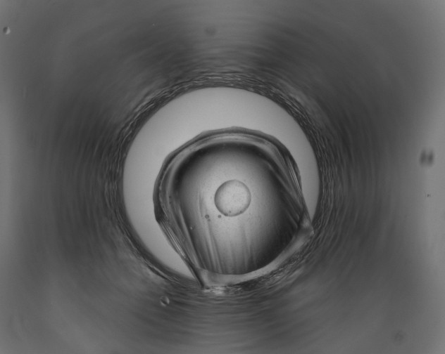 X0000088900558200707061457