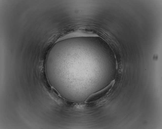 X0000088900560200707061457