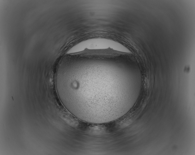 X0000088900561200707061457