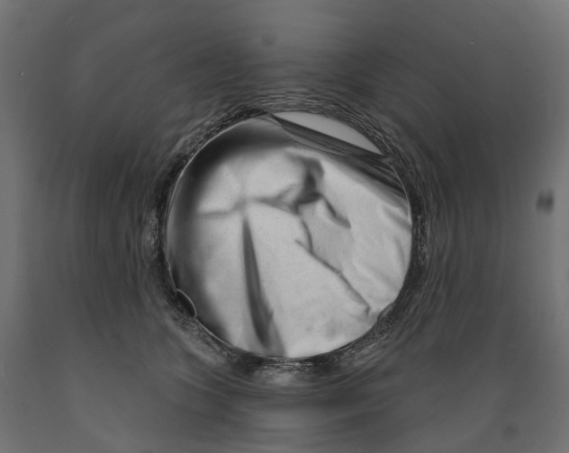 X0000088900563200707061457