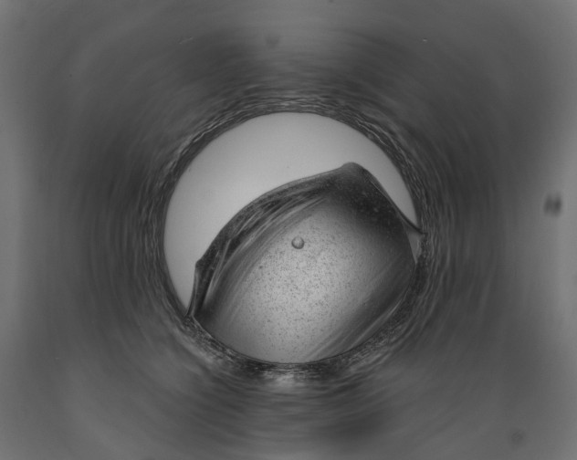 X0000088900564200707061457