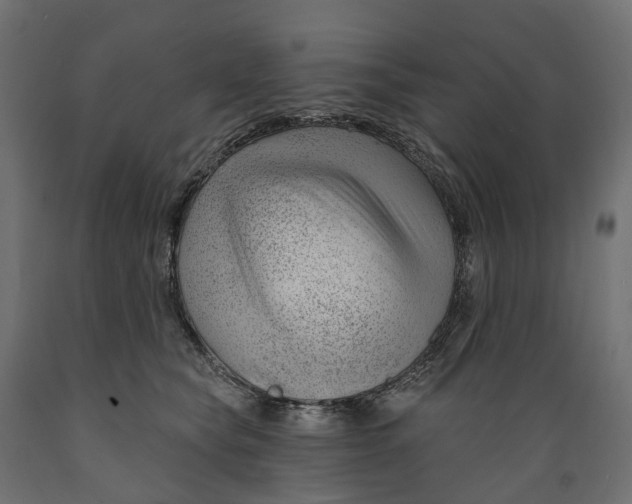 X0000088900565200707061457