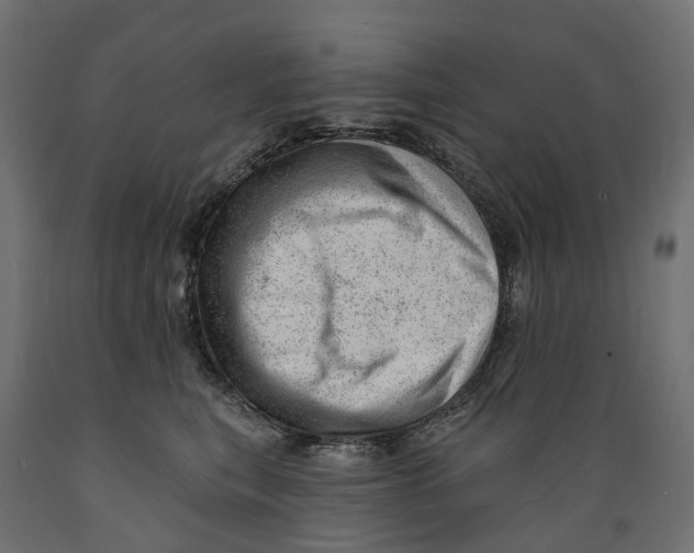 X0000088900567200707061457