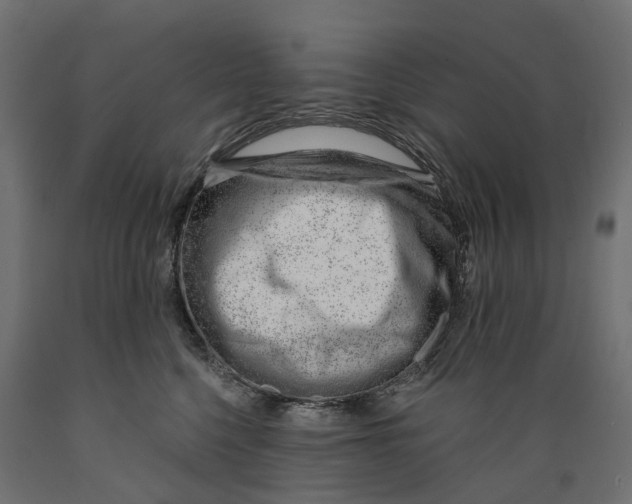 X0000088900568200707061457