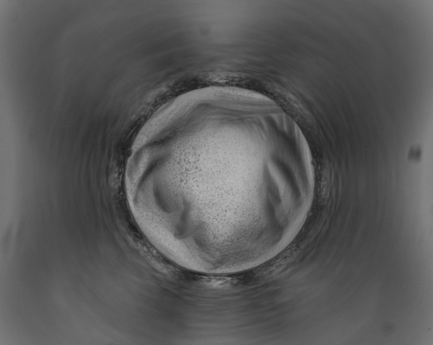 X0000088900569200707061457