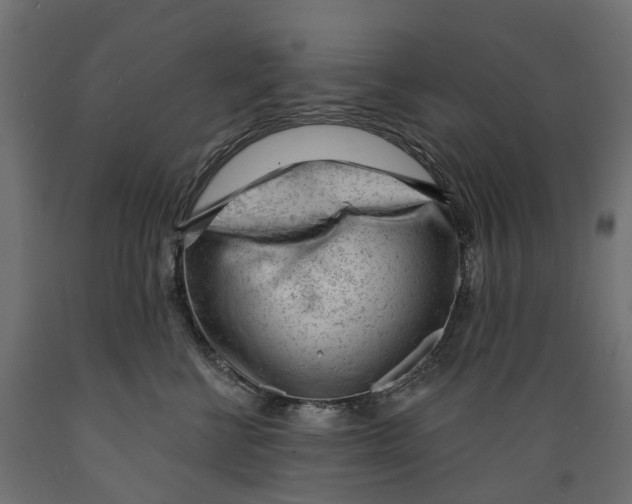 X0000088900570200707061457