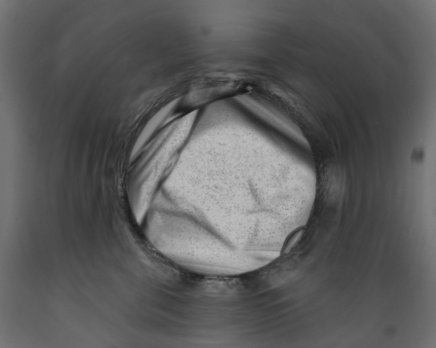 X0000088900571200707061457