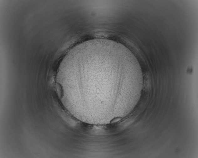 X0000088900573200707061457