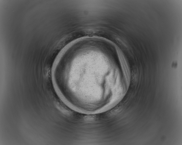 X0000088900574200707061457