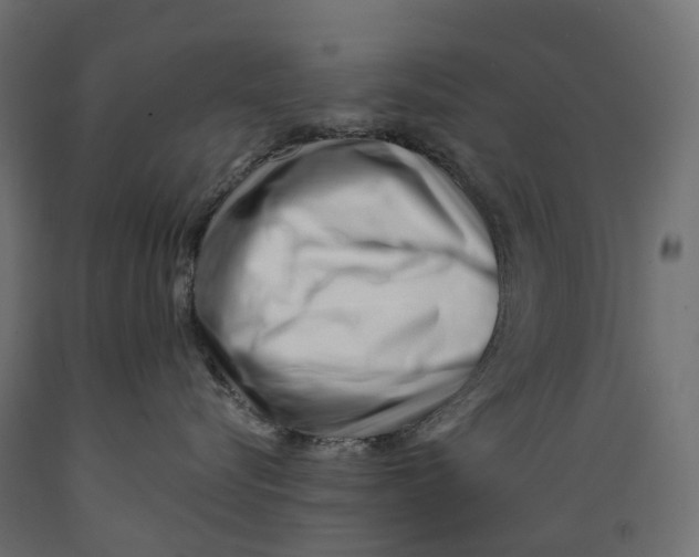 X0000088900576200707061457