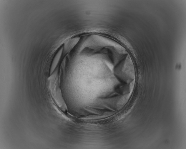 X0000088900577200707061456