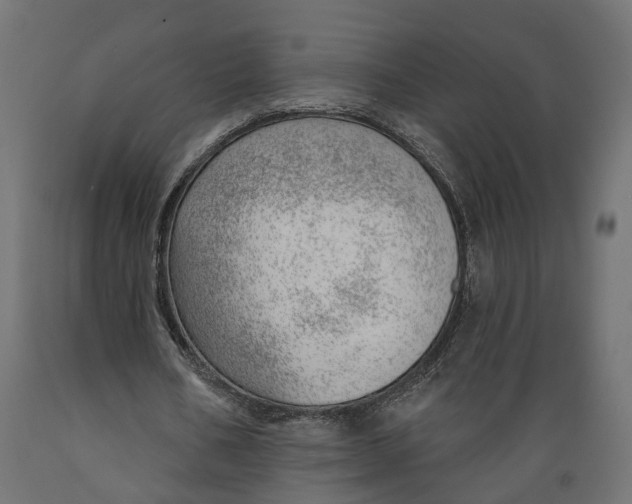 X0000088900578200707061456