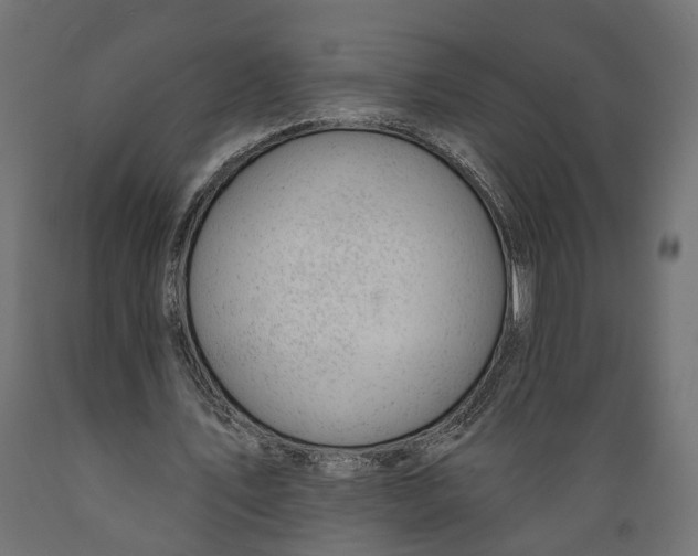 X0000088900579200707061456