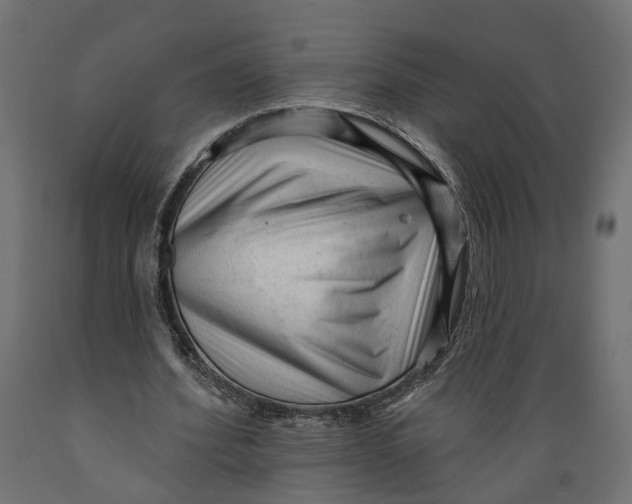 X0000088900580200707061456