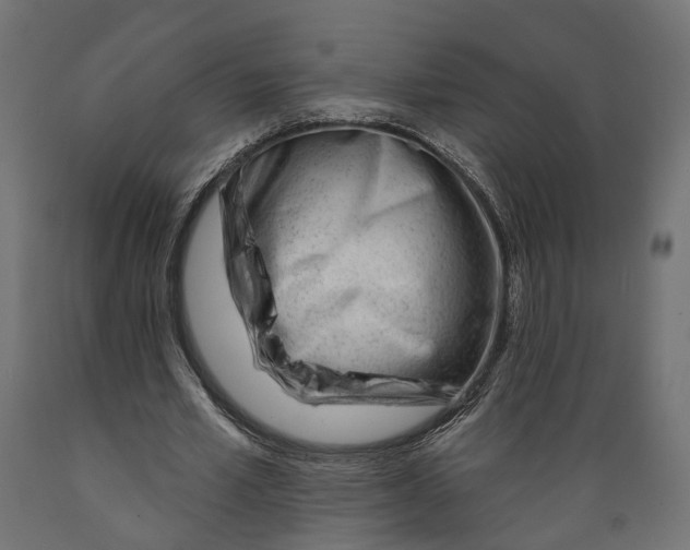 X0000088900581200707061456