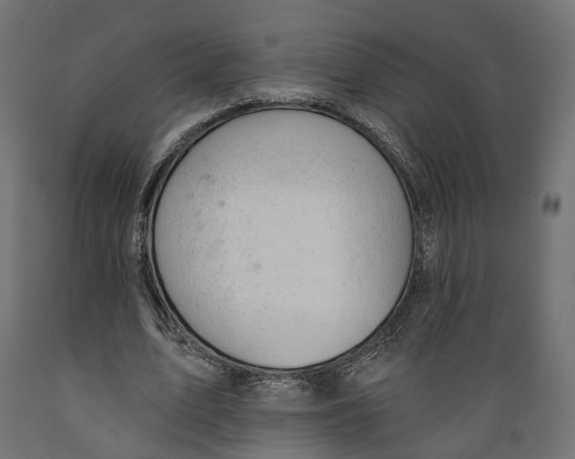 X0000088900583200707061456