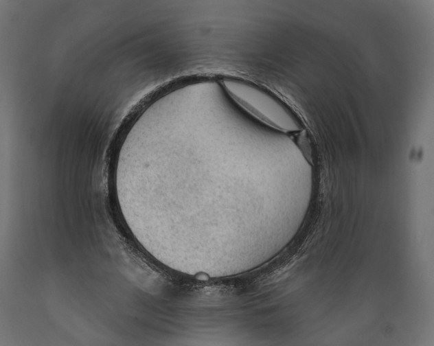 X0000088900584200707061456