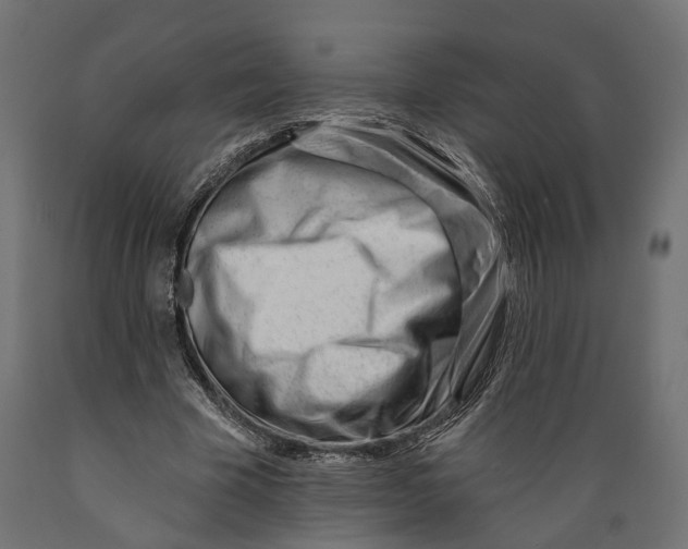 X0000088900585200707061456