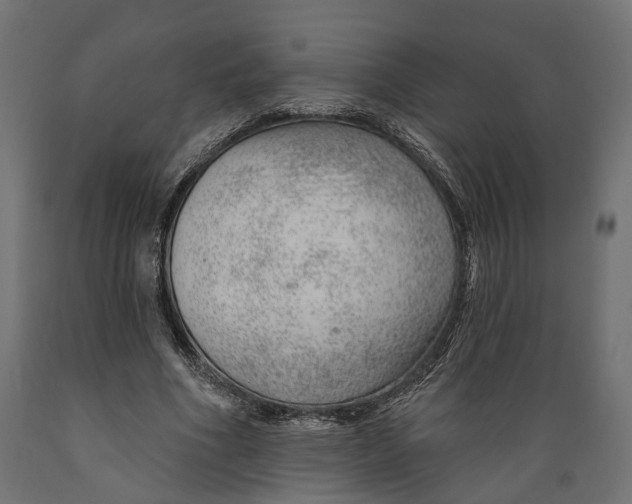 X0000088900586200707061456