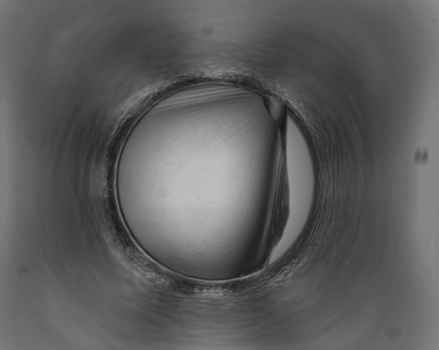 X0000088900587200707061456