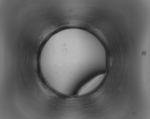 X0000088900588200707061456