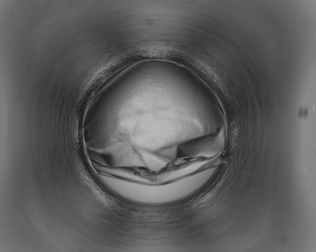 X0000088900589200707061456