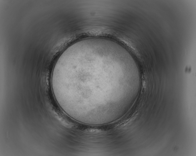 X0000088900590200707061456