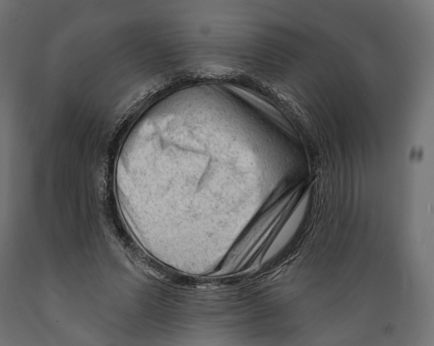 X0000088900591200707061456