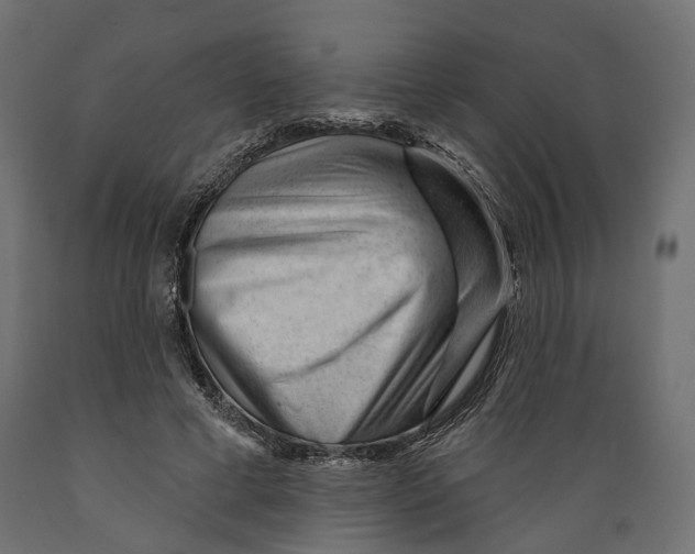 X0000088900593200707061456