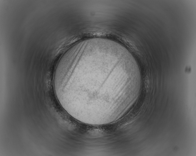 X0000088900594200707061456