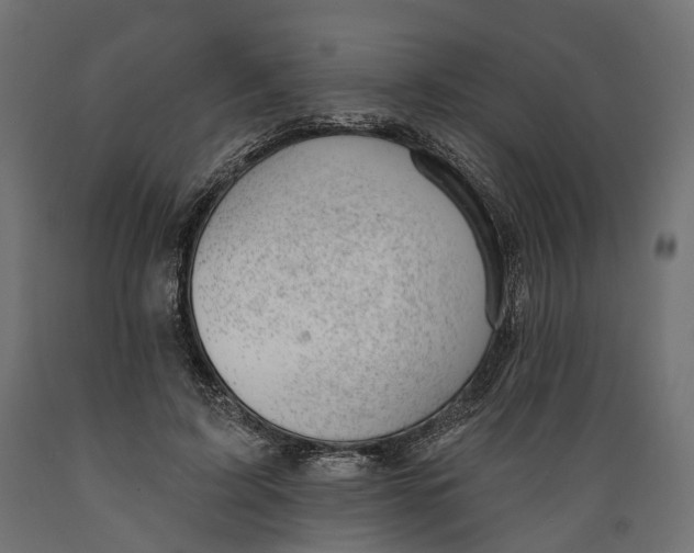 X0000088900595200707061456