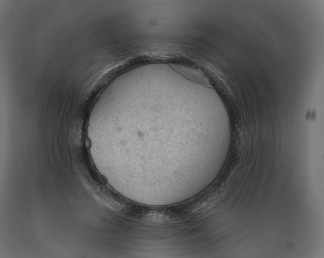 X0000088900596200707061456