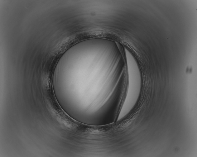 X0000088900597200707061456