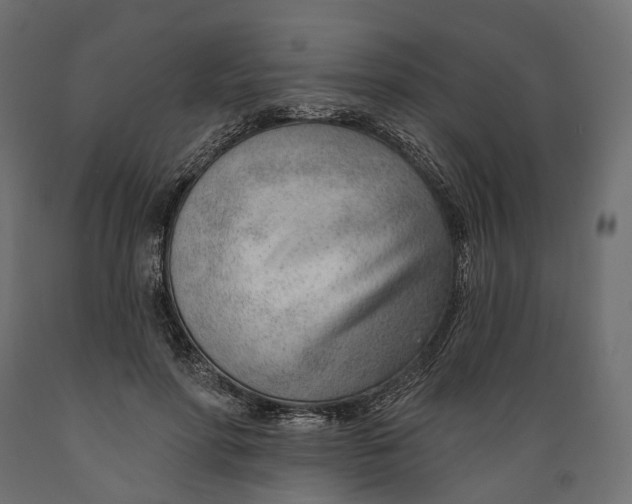 X0000088900598200707061456